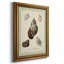 Ex-libris coquillages - Impression-1827457343