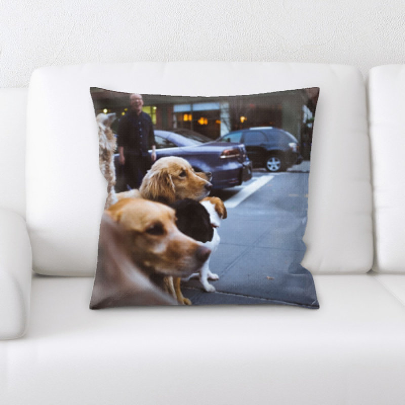 Coussin pour chien