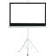 Symple Stuff Portable Projector Screen Projector Screen-1686519533