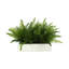 Outdoor UV Rated Ferns Arranged in Fiberstone Planter-1065045422-1032901551