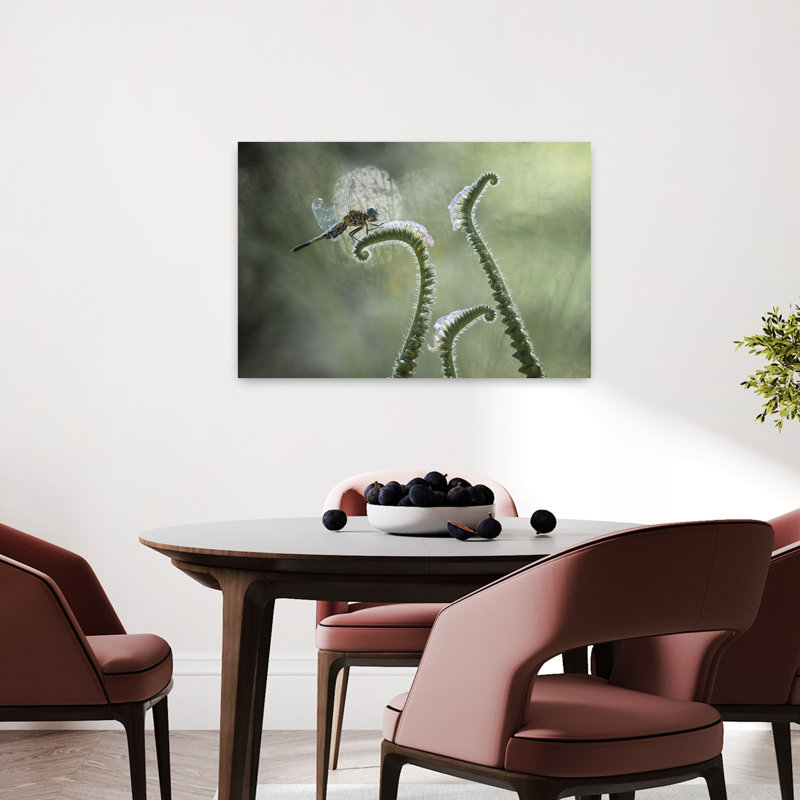 Dragonfly On Gentle Curve Delicate Peaceful Serene Dragonfly Nature Plant Wall Art Print 1 Piece Wrapped Canvas Wall Art