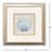 Coral Reef Shells Framed Art