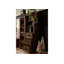 Display Cabinet-91339942