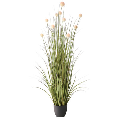 120cm Plant