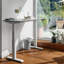 Standing Desk-291611427-291611431-291611454