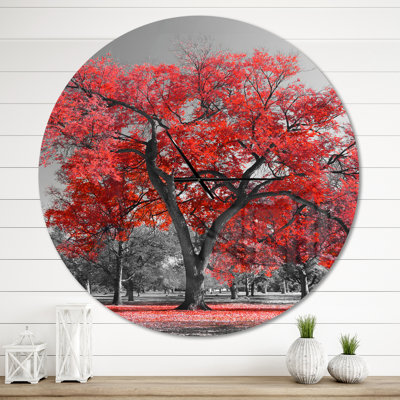 Grand arbre rouge le jour de brouillard - horloge murale moderne