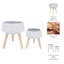 Set of 2 Resin and Magnesia Planters with Beech Wood Stands - Modern Elevated Indoor Outdoor Decorative Plant Holders for Stylish Display.-1422079921