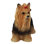Figurine Yorkshire Terrier