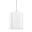 Downing 1 - Light Pendant-1888514506