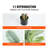78.03 " H Faux Palm Tree