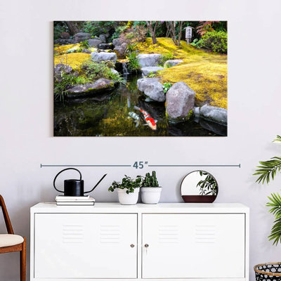 Crowle Pond Koi Fish