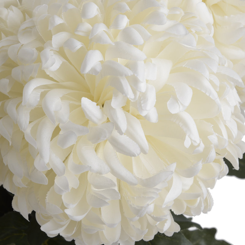 Arrangement, White