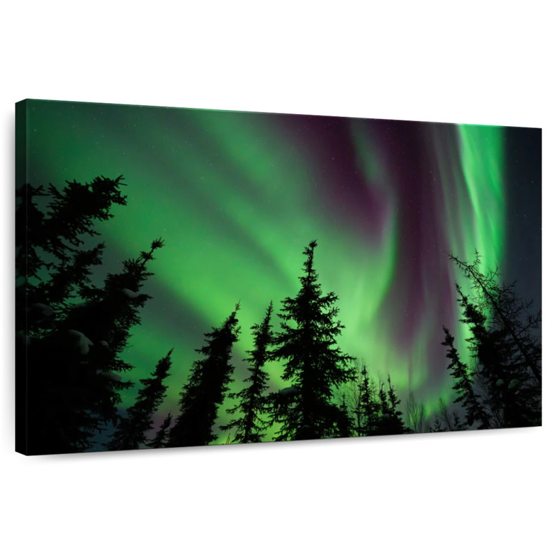 Alvord Fairbanks Aurora Borealis, H 34 po x l 51 po