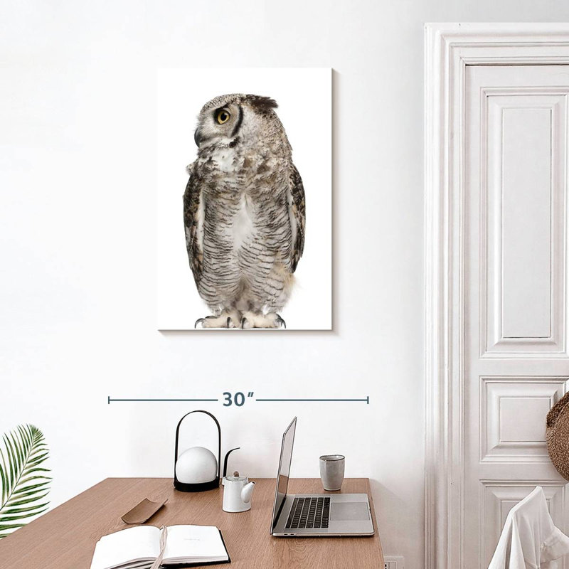 Brampt Owl Looking Sideways, 30" H x 20" W