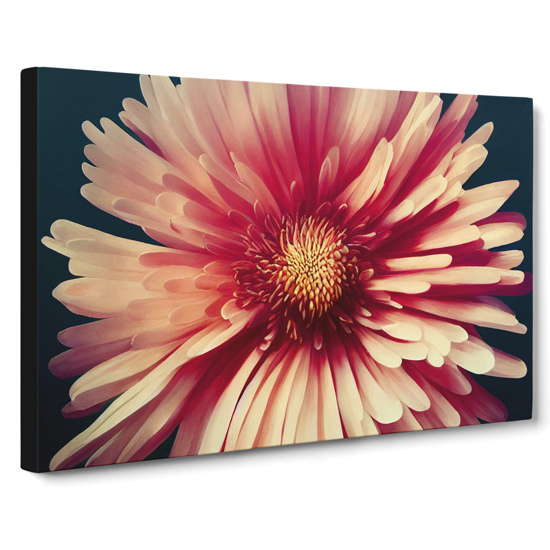 Fancy Chrysanthemum Flower - Wrapped Canvas, 40cm H x 60cm W