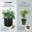 Heavy Duty Thickened Plant Grow Bags-53420855