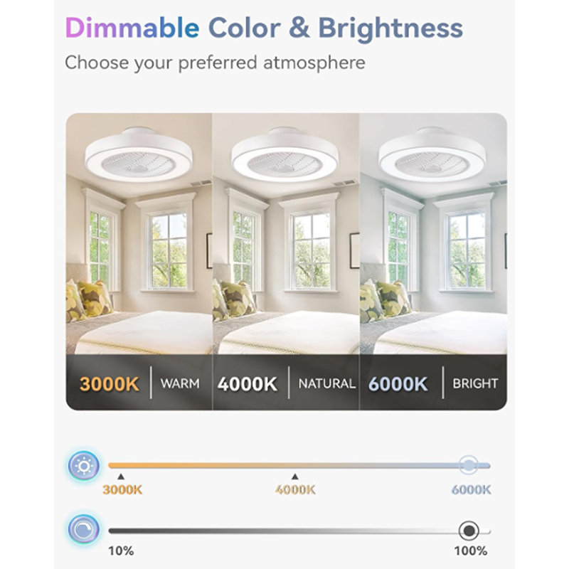 Ventilateur de plafond à profil bas 20 pouces avec lumière, DEL ...