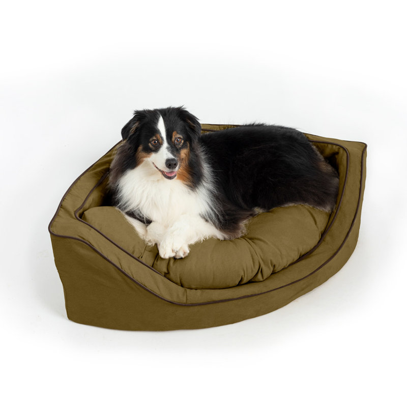 Lit pour chien Snoozer, Olive / Café, Petit (l 21 po x P 21 po x H 12 po)