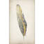 Gilded Feathers III (Gilded Gold) Print by Barclay Butera-26949829-26949827