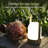 Portable Outdoor Table Lamp Waterproof