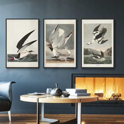 Pl 251 Pelican brun - ensemble de 3 cadres flottants sur toile