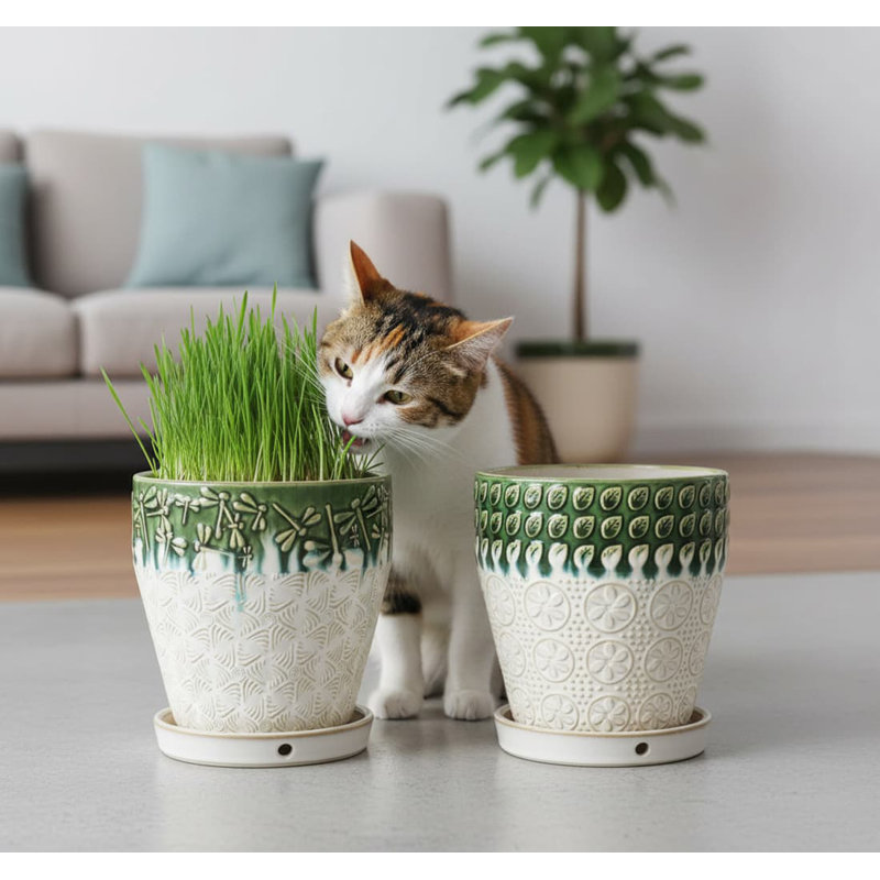 6.2"D x 6.1"W x 6.1"H Ceramic Planter Set of 2 (Green+White) - Indoor-Outdoor