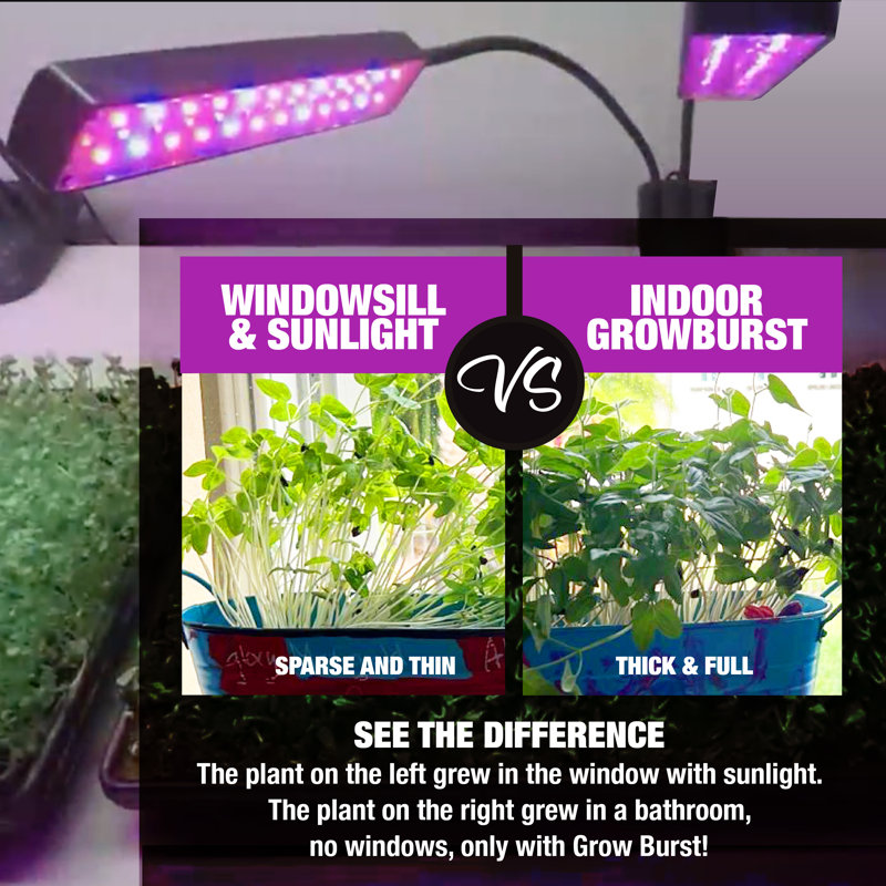 Bell+Howell Bionic Growburst 24" Indoor Plant Growing LED Lamp with 8 Brightness Settings, 3 Light Modes, 4 Heads