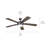 60'' Ceiling Fan with LED Lights-361292367