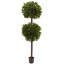 Topiaire en pot double boule douce bay-21254316