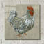  «Roost 1» par Chariklia Zarris, art mural en verre acrylique, 12 po x 12 po