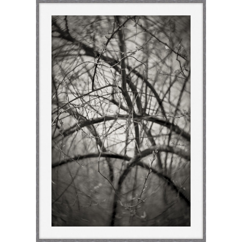 My Kingdom 4 Print by Ralph Mercer, 40.54" H x 29.54" W