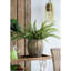 Ensemble de 2 pots de fleurs en fer vieilli, L: 13 x 13 x 14,5 po: 11 x 11 x 13,5 po