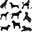 Rouleau de papier peint à motif animalier L 27 pi x l 25 po Dog Days