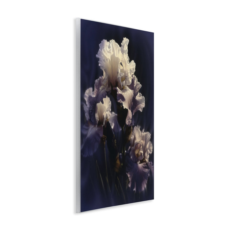 Plaque d'iris mauve mauve, design par Collin Bogle, H 15 po x l 10 po