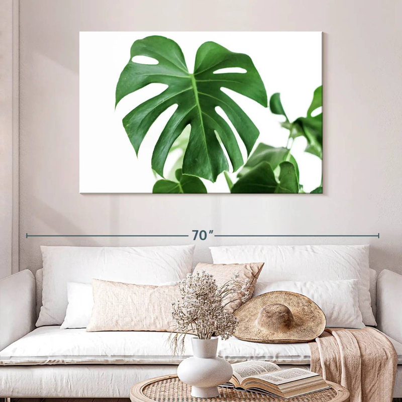Feuille Harnek Monstera, H 32 po x l 48 po