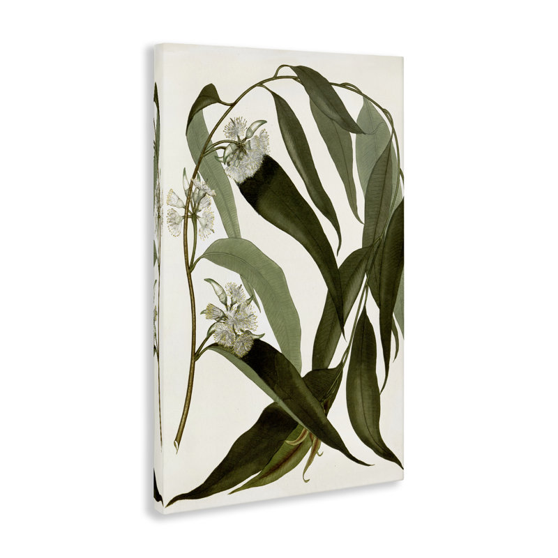 Art mural sur toile Curved Wild Herb Flower, conception par Annabelle Hall, H 24 po x l 16 po
