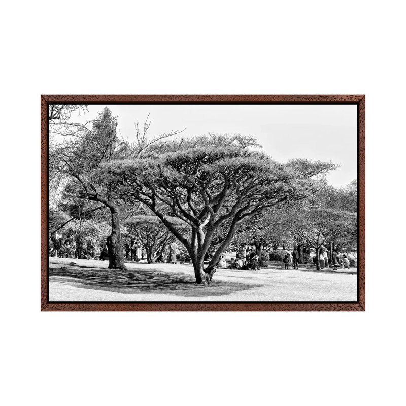 Japanese Tree by Philippe Hugonnard - Floater Frame Print on Canvas, Classic Wood Framed