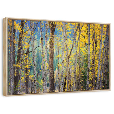 Kootenay Fall II