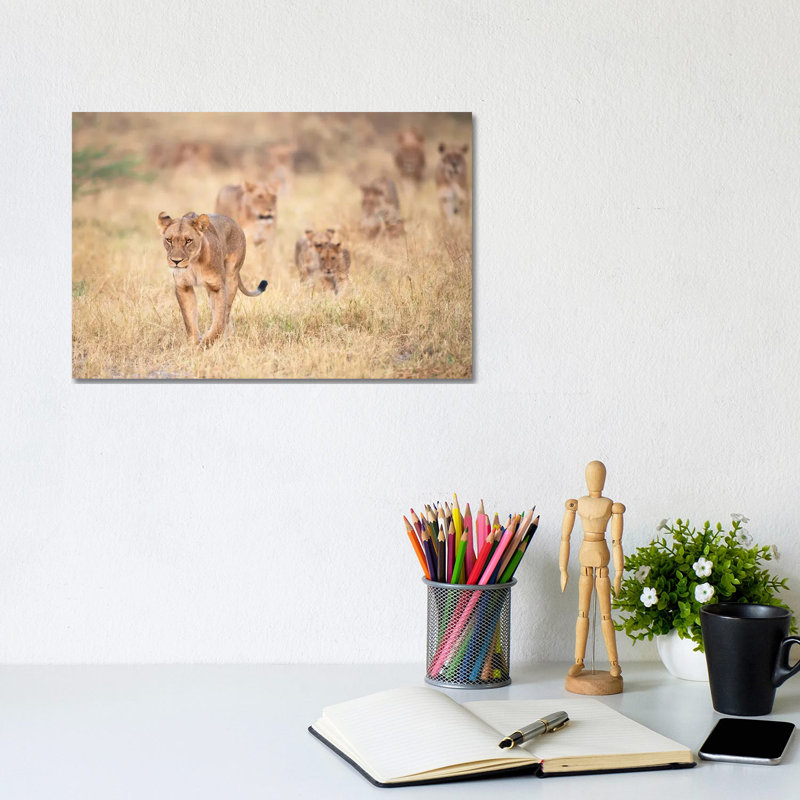 Cats By Marco Pozzi - Wrapped Canvas Photograph by Marco Pozzi - Wrapped Canvas Print, 20.32cm H x 30.48cm W x 1.91cm D