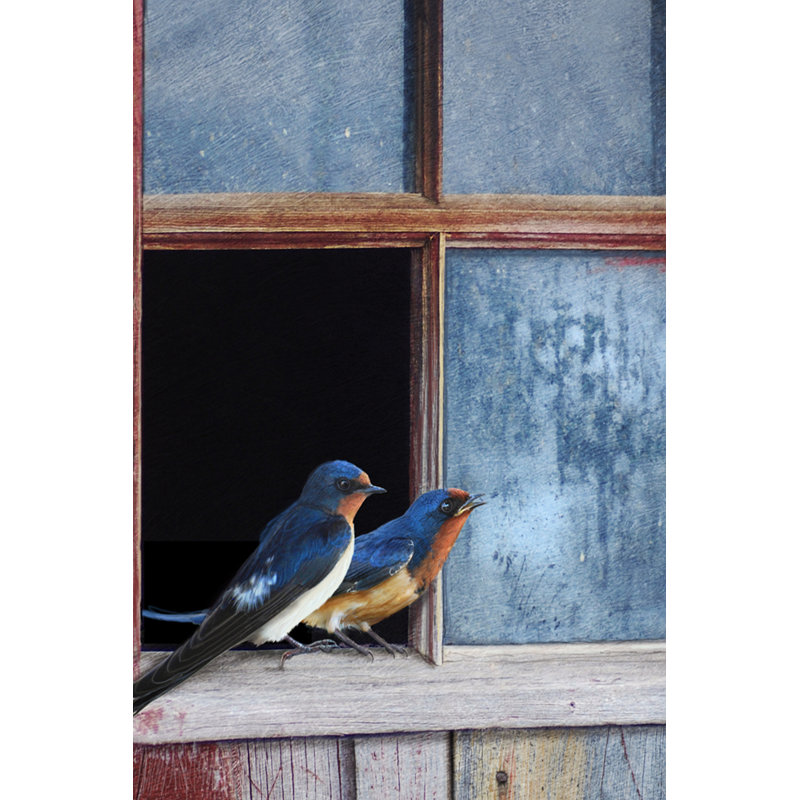 " Barn Swallows Window " Painting Print, 30" H x 20" W x 1.25" D