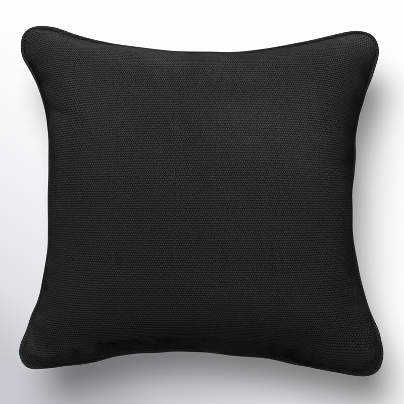 Ansonia Sunbrella® Outdoor Throw Pillow, 20" x 20", Canvas Black