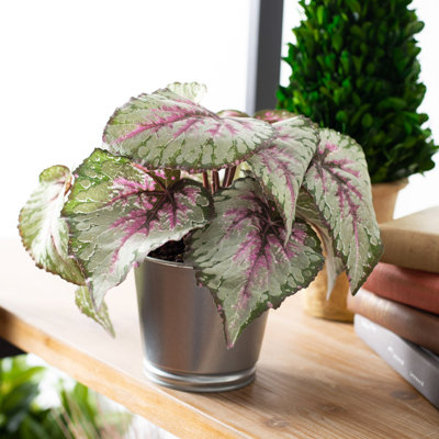 Plante à feuillage artificiel en pot