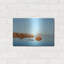 «Oregon Blues» par Sol Rapson-1296206915