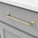Forge 7 9/16" Center to Center Bar Pull Multipack