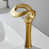 Brushed Gold selected