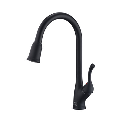 Single Handle Pull-down Kitchen Faucet