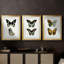 Papillons bleus antiques I - reproduction encadrée sur mesure de qualité supérieure mate - 3 pièces-701876157-701876154