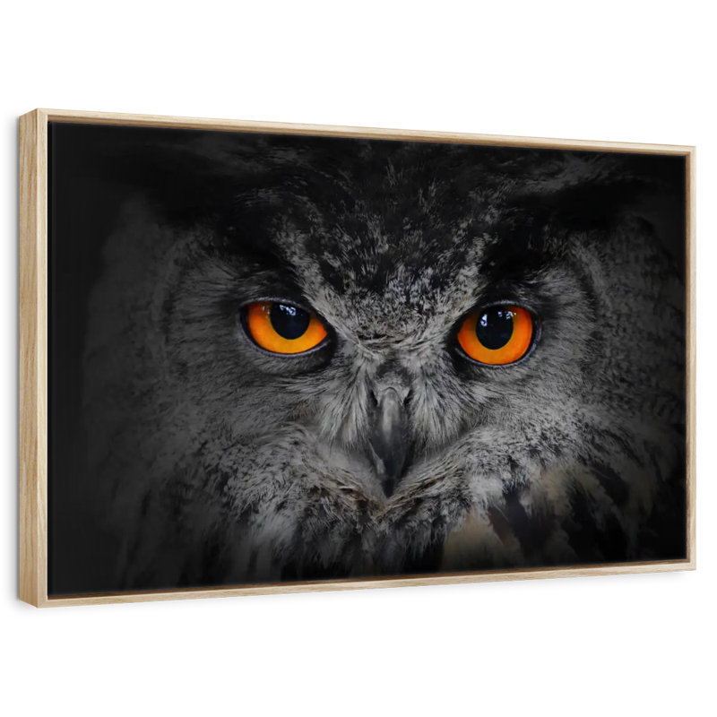 Hibou gris envoûtant, 37 po x 25 po, Cadre flottant en bois naturel