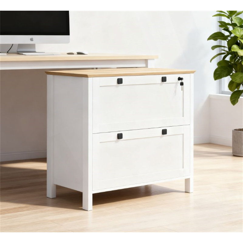Lateral File Cabinet with Adjustable Hanging Bar, Secure Locks, and Elegant Design for Home and Office Organization