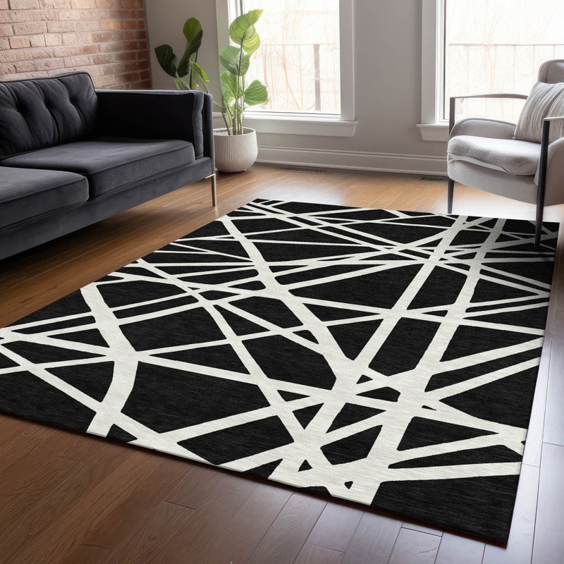 Tapis noir intérieur / extérieur Zephina , 10 pi x 14 pi